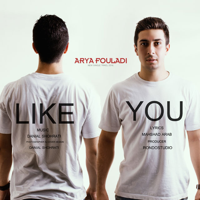 دانلود آهنگ شبیه تو